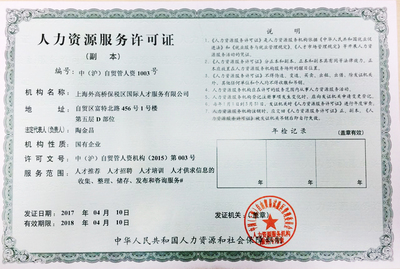 上海信息咨詢服務(wù) 專業(yè)導(dǎo)航，智啟未來